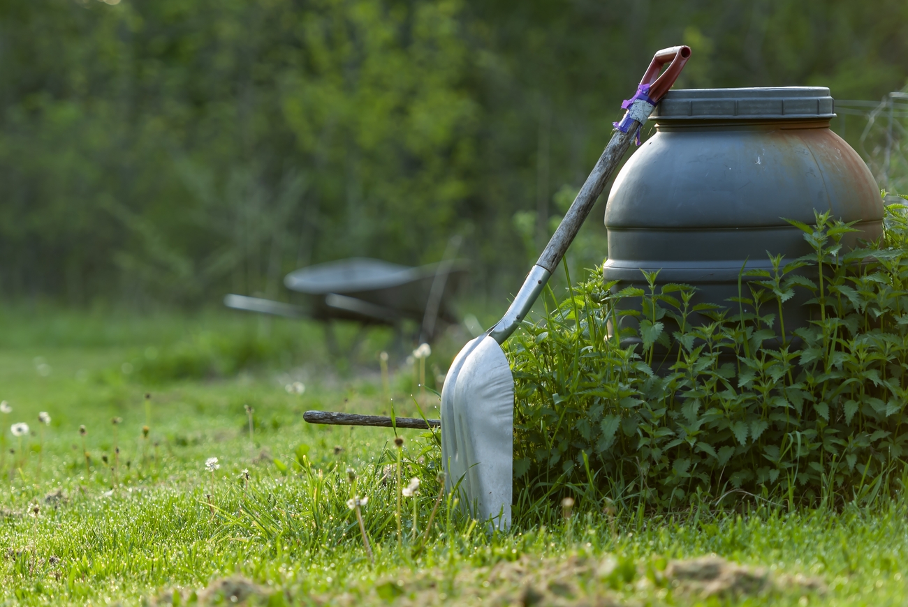 Western Lawn mowing
