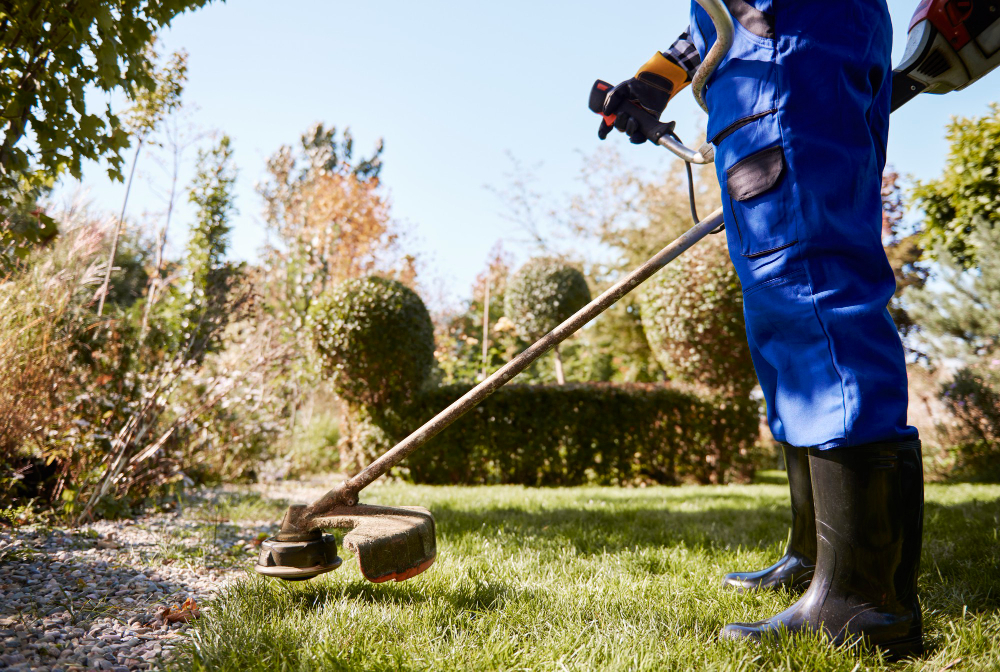 dethatching lawn in Melbourne