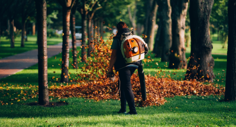 garden maintenance services near me