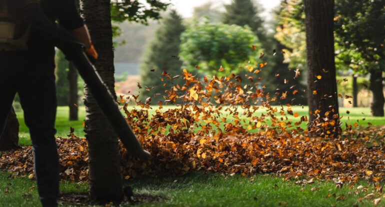 Garden clean up service melton south