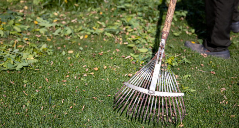 Grass Slashing Services in ST Albans
