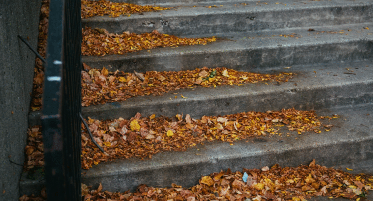 gutter cleaning services near me