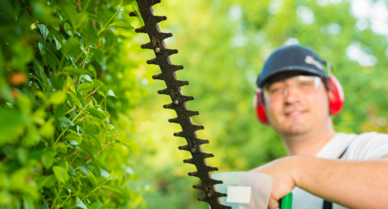 Hedge Trimming and Pruning Services