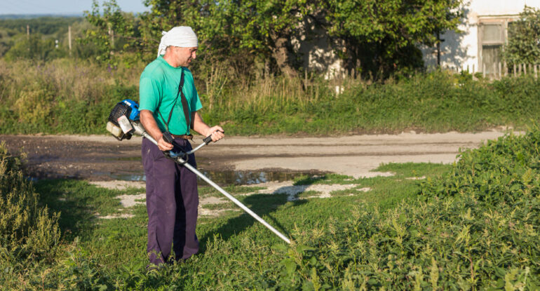 Grass Slashing Services in St Albans