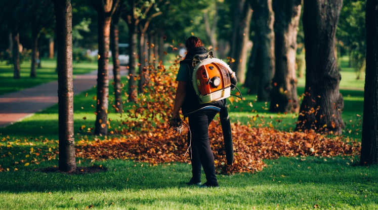 Landscaping Services Across Melbourne