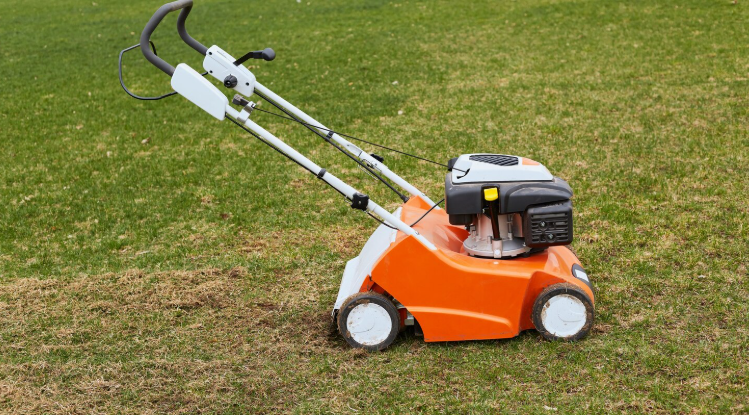 Lawn Mowing Services