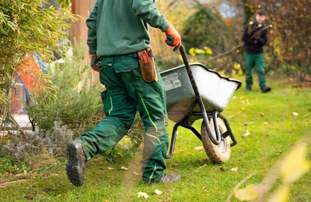 Garden Landscaping Services near me
