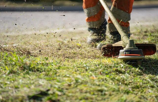 Gardening Services in Cobblebank